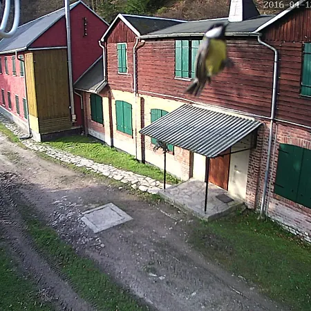 Ferienhaus Schwarzatal -fur 4-12 Personen * Sitzendorf